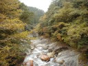 澄みきった渓流と周囲の紅葉