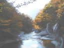 川面に周囲の景色を映し出す