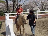 ポニーの引き馬による乗馬体験