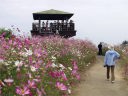 小道を登り一番高いところに展望台がある