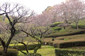 大手門を入った所の日本庭園