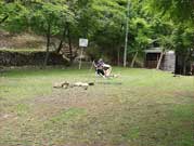 キャンプファイヤー場