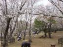 頂上広場下