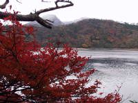 遊歩道から見える紅葉・六観音御池と韓国岳