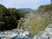 男湯からの雄大な眺望
