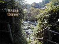 クマザサの小道の中にある打たせ湯