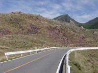 県道から見るミヤマキリシマと韓国岳
