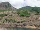 硫黄山から韓国岳のミヤマキリシマ