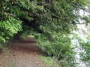 うっそうと茂る木の中を通る遊歩道