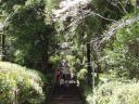 母智丘神社に登る急な長い階段