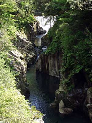 若葉の長田峡