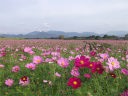 鬼の窟古墳北側