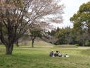 第2古墳群の中はどこでも自由にくつろげる