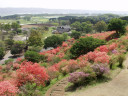 高取山山頂から南東方向の展望男狭穂塚