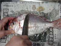 鱗をとる