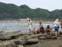 近くの岩場では貝拾いが出来る
