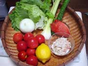 あさひがに、トマト、セロリなど材料