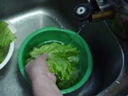 野菜をすすぎ洗い